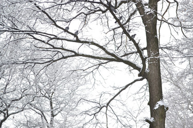 Similar image 1028423