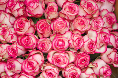 Similar image 1028429