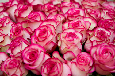 Similar image 1028430