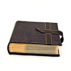 Similar image 1028443