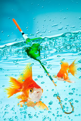 Similar image 1028492