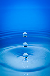 Similar image 1028519