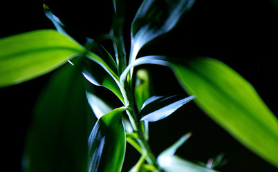 Similar image 1028588