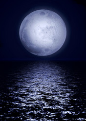 Similar image 1028631