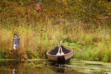 Similar image 1028639