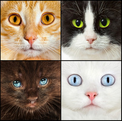 Similar image 1028698