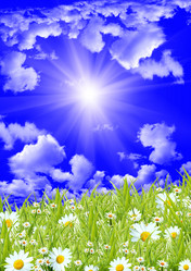 Similar image 1028706