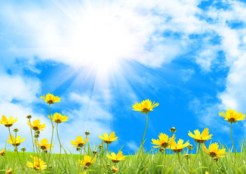 Similar image 1028710