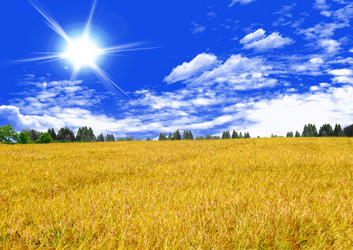 Similar image 1028743