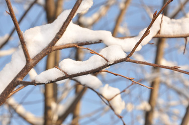 Similar image 1028767