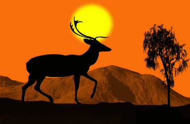 Similar image 1028772