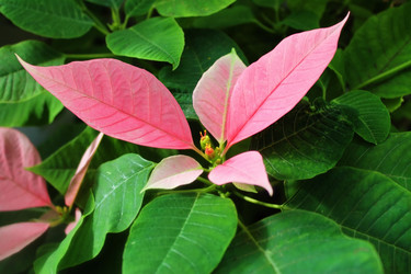 Similar image 1028786