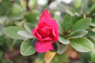 Similar image 1028790