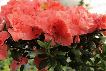 Similar image 1028791