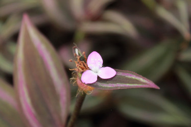 Similar image 1028798