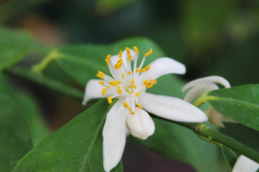 Similar image 1028799