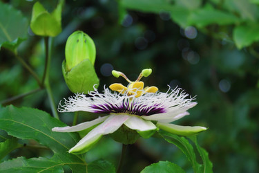 Similar image 1028800