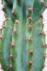 Similar image 1028805