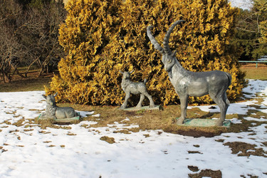 Similar image 1028809