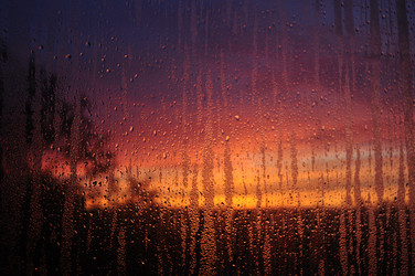 Similar image 1028843