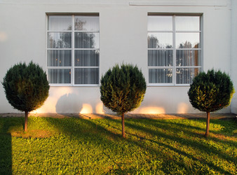 Similar image 1028855