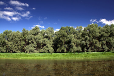 Similar image 1028860