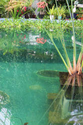 Similar image 1028915