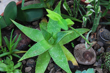 Similar image 1028924