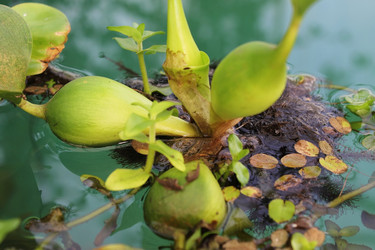 Similar image 1028928