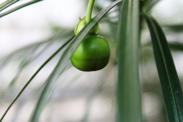 Similar image 1028936