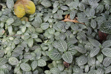 Similar image 1028938