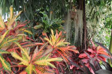 Similar image 1028943