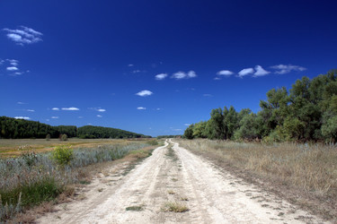 Similar image 1028969