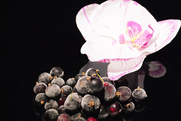 Similar image 1029000