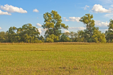 Similar image 1029052