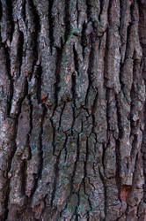 Similar image 1029119