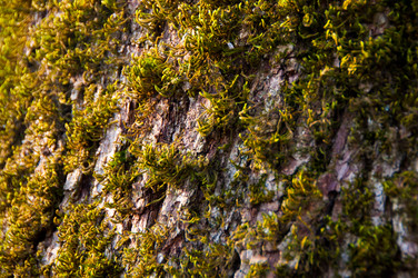 Similar image 1029121