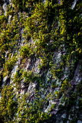 Similar image 1029123