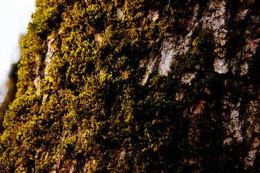 Similar image 1029124