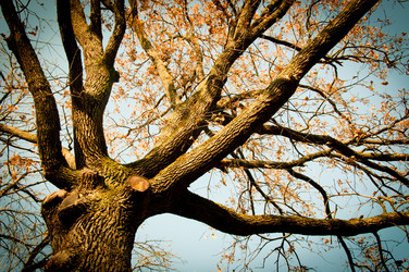 Similar image 1029128