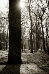 Similar image 1029138