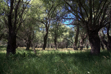 Similar image 1029184