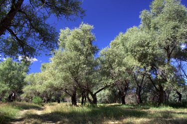 Similar image 1029185