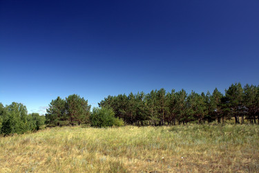 Similar image 1029187