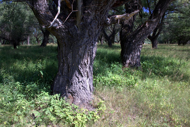 Similar image 1029193