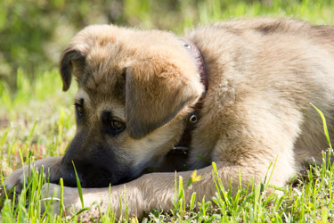 Similar image 1029195