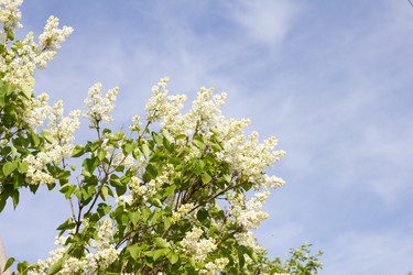 Similar image 1029198