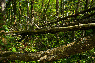 Similar image 1029199