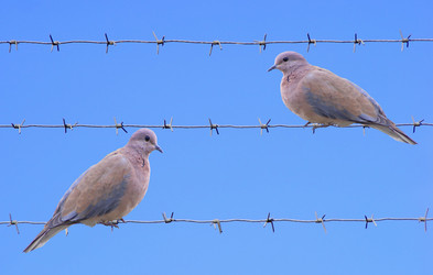 Similar image 1029212