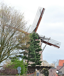 Similar image 1029224